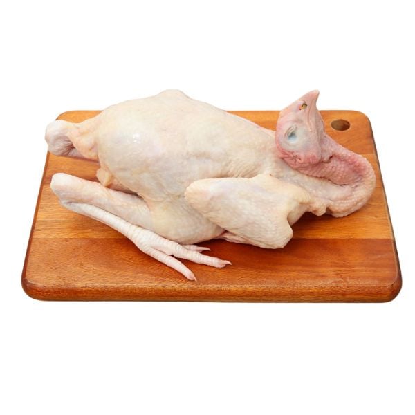 Địa Chỉ Bán Gà Vịt Tại Quận 5