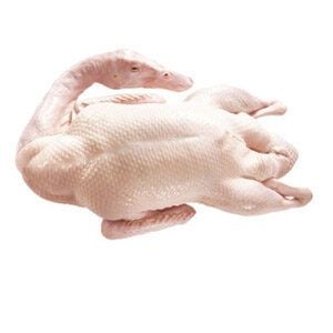 Vịt cỏ (vịt đồng) còn sống  3-3,5 kg/con