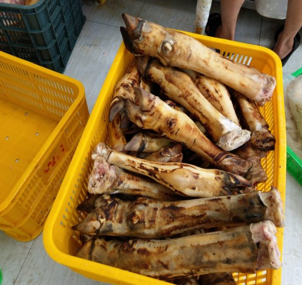 Dựng bò nguyên cái