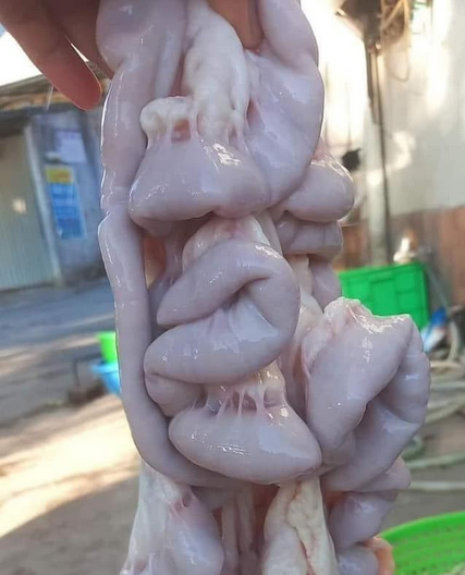 Phèo Bò Tươi