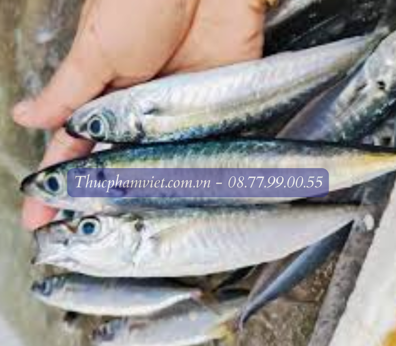 Cá nục giá sỉ TPHCM