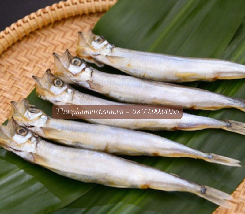 Cá trứng giá sỉ TPHCM