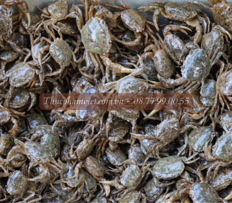 Cua đồng giá sỉ TPHCM