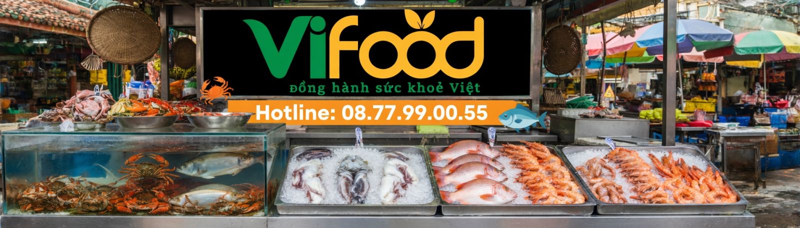 cá lóc nuôi chợ bình điền hôm nay