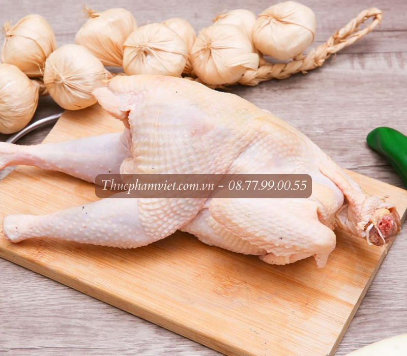 Cung cấp thịt gà đông lạnh giá sỉ Thanh Hóa chất lượng cao
