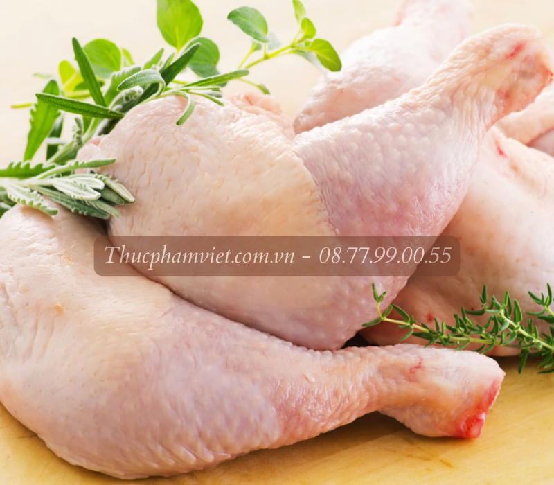 Đơn vị cung cấp thịt gà đông lạnh giá sỉ TP Huế uy tín