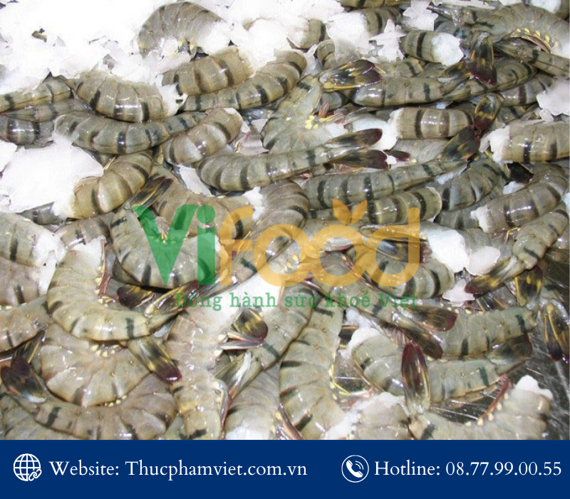 Cung cấp hải sản đông lạnh giá sỉ uy tín chính ngạch tại Phường Đông Hòa - Thực Phẩm Việt