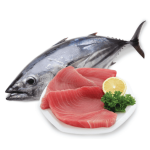 Cá ngừ tươi nguyên con tươi ngon