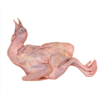 Địa Chỉ Bán Bồ Câu Thịt Quận 10 Uy Tín, Giá Tốt