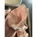 Nguồn cung cấp phân phối thực phẩm đông lạnh Quận 3