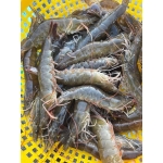 Tôm thẻ tươi sống 35-40 con/kg
