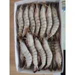Tôm thẻ đông lạnh 25-30 con/kg
