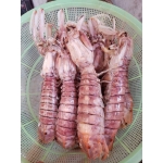 Tôm tít (bề bề) đông lạnh 6-8 con/kg