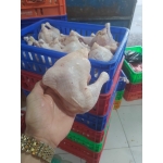 Đùi gà góc tư loại 1 chất lượng 