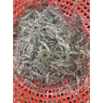 Tép đồng tươi sống thiên nhiên