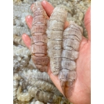 Tôm tít gạch (bề bề) tách vỏ đông lạnh 70-90 con/kg