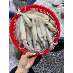 Mực ống câu đông lạnh 9-12 con/kg