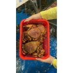 Cua huỳnh đế sống 500-700 gr/con