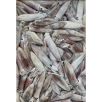 Mực trứng đông lạnh loại 1 size 30-40 con/kg