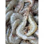 Tôm Thẻ Đông Lạnh