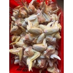 Cánh gà nguyên cái tươi ngon