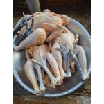 Gà lai chọi nuôi thiên nhiên Size 1-1,5 kg/con