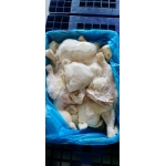 Đùi gà góc tư sanderson