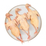 Địa Chỉ Bán Bồ Câu Thịt Quận 4