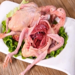 Địa Chỉ Bán Bồ Câu Thịt Nhà Bè Uy Tín, Giá Tốt