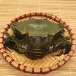 Cua cốm gạch (cua 2 da) 200-300 gr/con