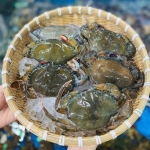 Cua lột đông lạnh 10-12 con/kg