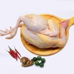 gà vịt tươi sống quận 7