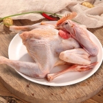  Gà lai chọi (gà trống) còn sống, đảm bảo là ngon Size 1-1,5 kg/con