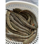 Cá Kèo Tươi Sống