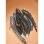 mua cá lóc sống Quận 2