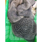 Tổ ong đen bò tươi