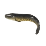 Cá Lóc Tươi Làm Sạch Quận 7