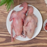 Bồ Câu Thịt Hóc Môn