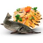 Cá tầm sống loại 1 Size: 3,5-4 kg/con