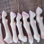 Dựng dê làm sạch