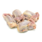 Địa Chỉ Bán Bồ Câu Thịt Quận 7 Uy Tín, Giá Tốt