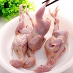 Chim cút làm sạch