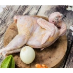 Chim trĩ xanh thịt 0,8-1kg/con