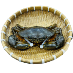 Cua Thịt Lớn (Size 0.35–0.7kg/con)