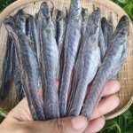 Khô cá kèo thơm ngon ngất ngây
