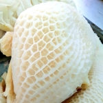 Tổ ong trắng bò tươi