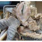 Mắt Hàm Sừng Bò