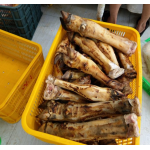 Dựng bò nguyên cái