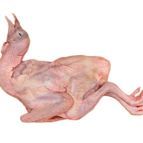 Địa Chỉ Bán Bồ Câu Thịt Quận 10 Uy Tín, Giá Tốt