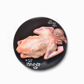 Địa Chỉ Bán Bồ Câu Thịt Quận 11 Uy Tín, Giá Tốt